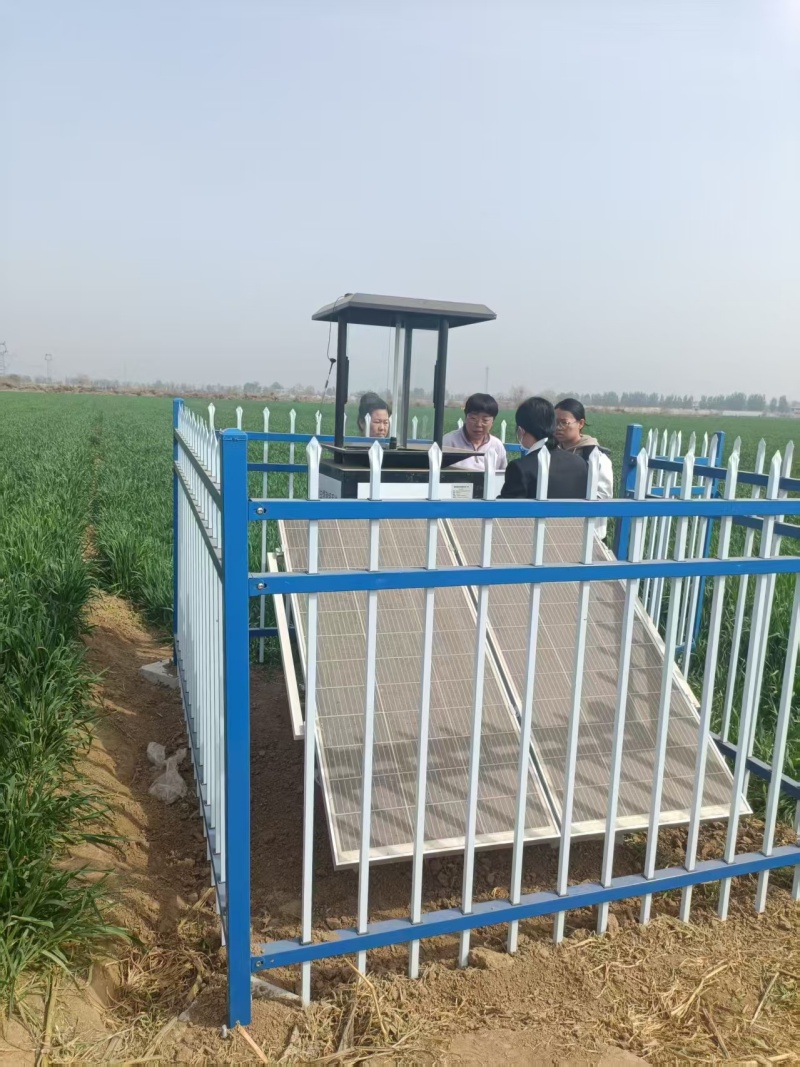 河北欒城蟲情測(cè)報(bào)燈項(xiàng)目圖片4