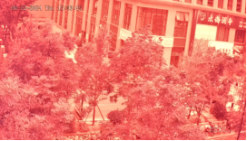 1766042896381383.png 通道效果圖片.png